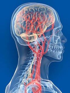 Un apport sanguin insuffisant au cerveau est une autre cause d’hypertension artérielle